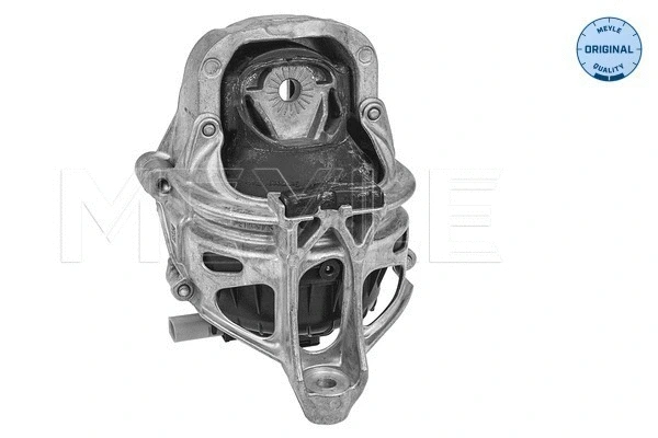 Variklio montavimas MEYLE 100 199 1016