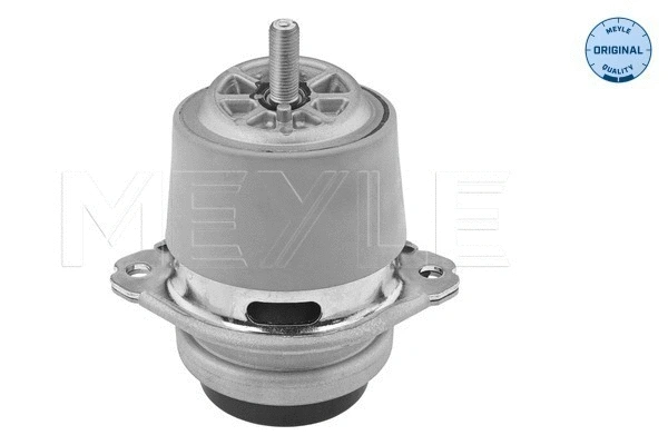 Variklio montavimas MEYLE 100 199 1190