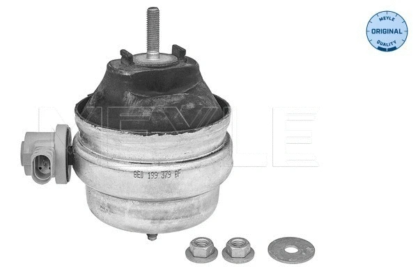 Variklio montavimas MEYLE 100 199 3180