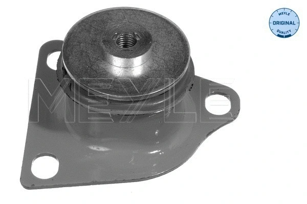 Automatinės transmisijos montavimas MEYLE 100 399 0010