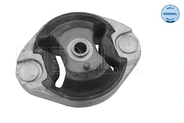 Variklio montavimas MEYLE 100 399 0035
