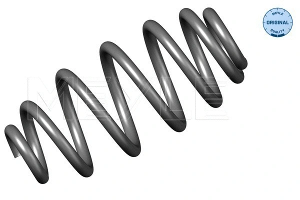 Spyruoklė MEYLE 100 739 0009