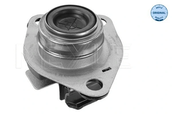 Variklio montavimas MEYLE 16-14 030 0029