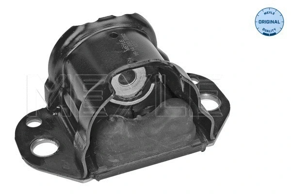 Variklio montavimas MEYLE 16-14 030 2082