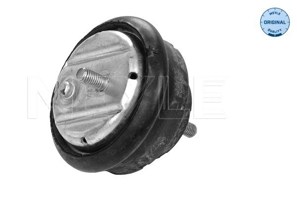 Variklio montavimas MEYLE 300 118 1106