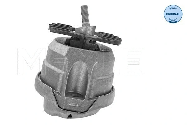 Variklio montavimas MEYLE 300 221 1124