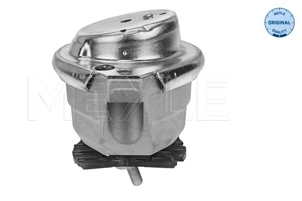Variklio montavimas MEYLE 300 221 1153