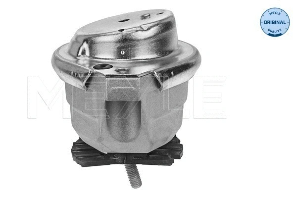 Variklio montavimas MEYLE 300 221 1154