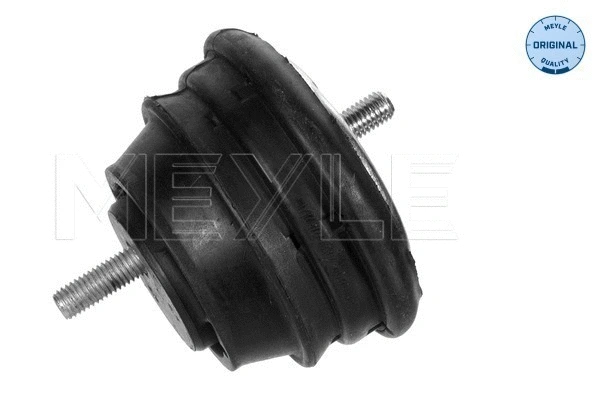 Variklio montavimas MEYLE 300 221 1600