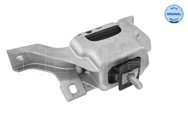 Variklio montavimas MEYLE 300 221 2003