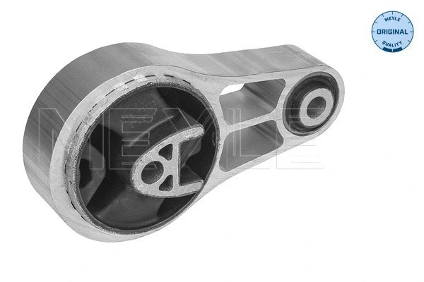 Variklio montavimas MEYLE 300 221 2004