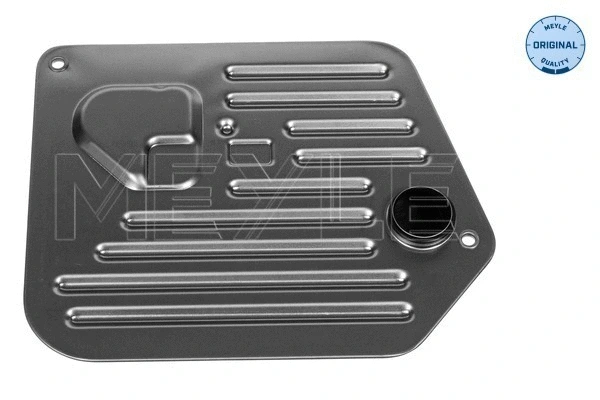Automatinės transmisijos hidraulinis filtras MEYLE 300 243 4107
