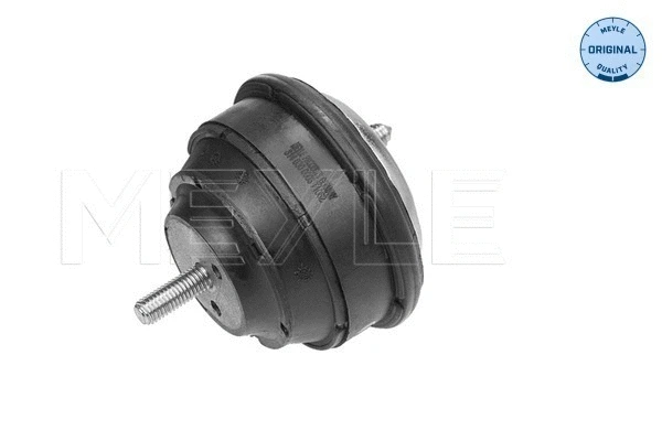 Variklio montavimas MEYLE 314 030 0003