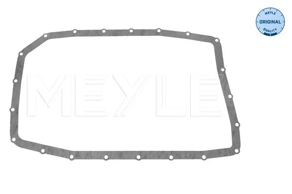 Automatinės pavarų dėžės alyvos karterio tarpinė MEYLE 314 139 1003