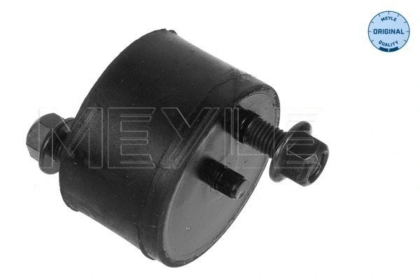 Variklio montavimas MEYLE 514 027 4110