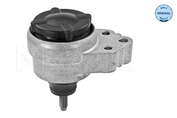 Variklio montavimas MEYLE 714 030 0012