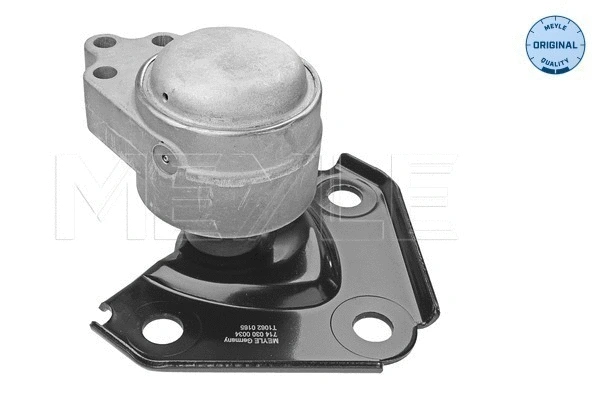 Variklio montavimas MEYLE 714 030 0034