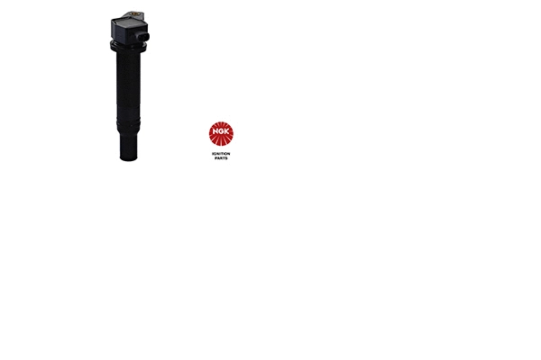 Uždegimo ritė NGK 48247