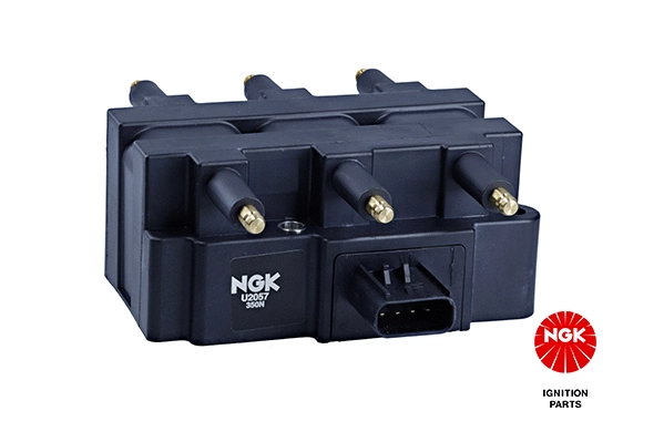 Uždegimo ritė NGK 48260