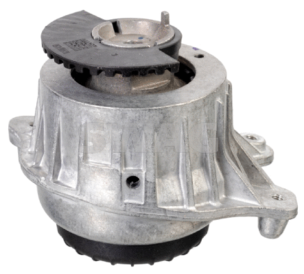 Variklio montavimas SWAG 33 10 2853