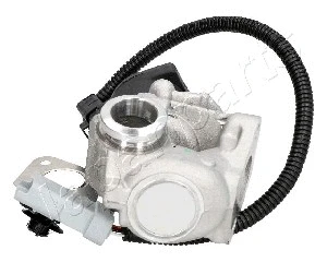 ERG vožtuvas JAPANPARTS EGR-0306
