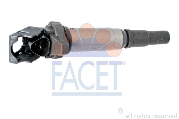Uždegimo ritė FACET 9.6507