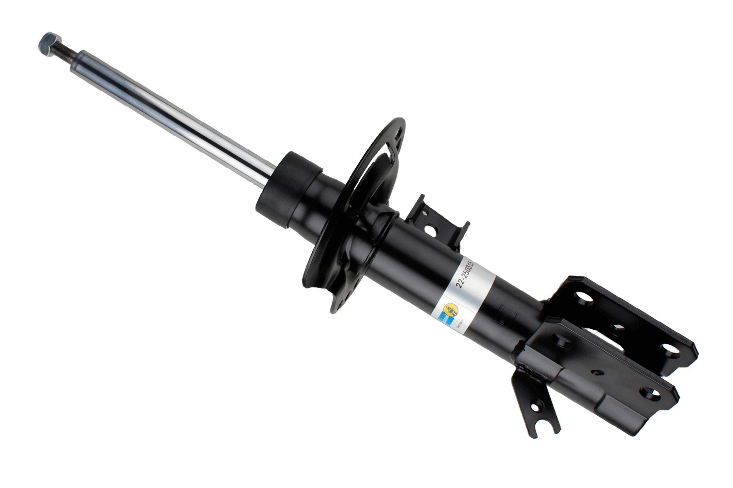 Amortizatorius BILSTEIN 22-250315