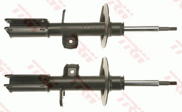 Amortizatorius TRW JGM1009T