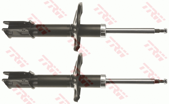 Amortizatorius TRW JGM1046T