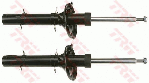 Amortizatorius TRW JGM209T