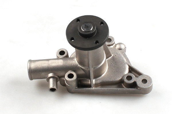 Variklio aušinimo Vandens siurblys HEPU P080