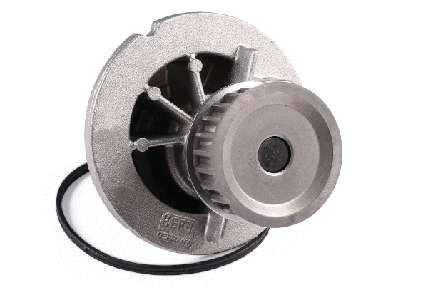Variklio aušinimo Vandens siurblys HEPU P324
