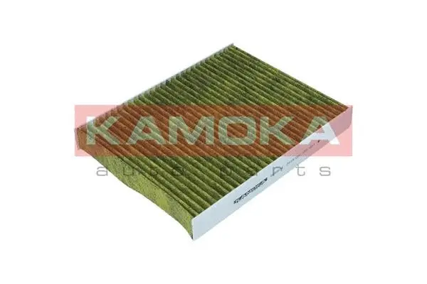 Salono filtras KAMOKA 6080014