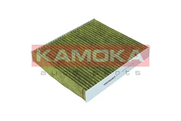 Salono filtras KAMOKA 6080021