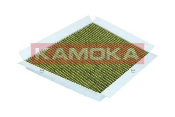 Salono filtras KAMOKA 6080028