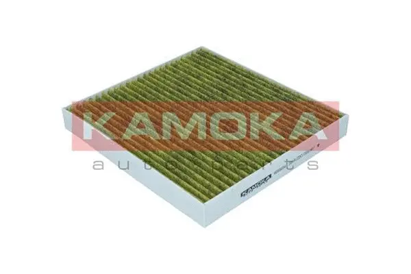 Salono filtras KAMOKA 6080034