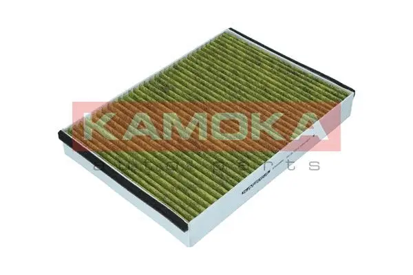 Salono filtras KAMOKA 6080050