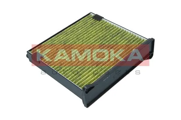 Salono filtras KAMOKA 6080052