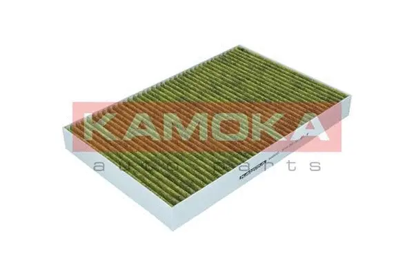 Salono filtras KAMOKA 6080055