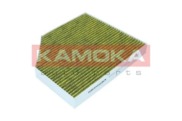 Salono filtras KAMOKA 6080062