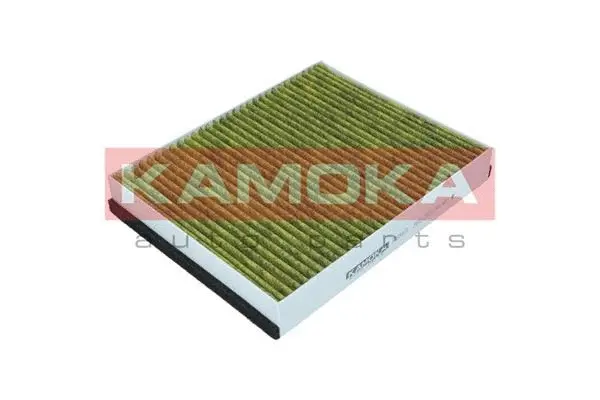 Salono filtras KAMOKA 6080071