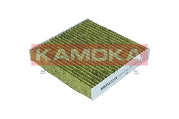 Salono filtras KAMOKA 6080076
