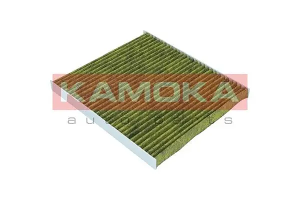 Salono filtras KAMOKA 6080080