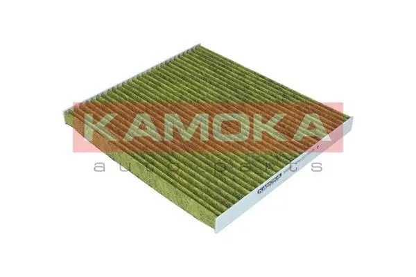 Salono filtras KAMOKA 6080086