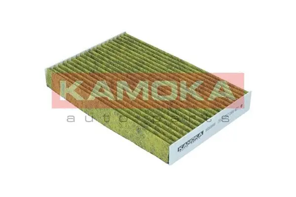 Salono filtras KAMOKA 6080090