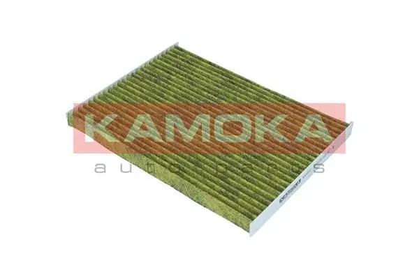 Salono filtras KAMOKA 6080093