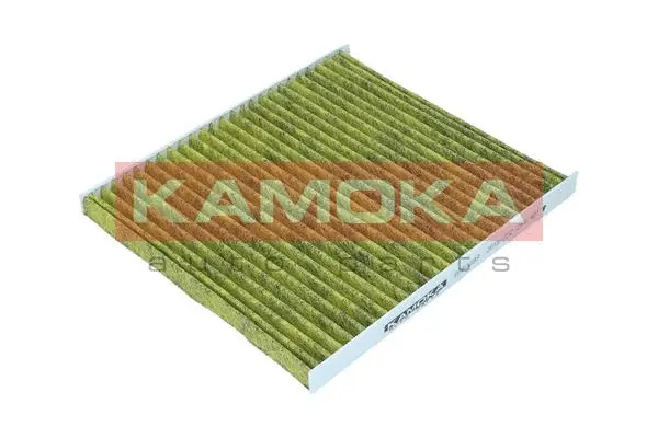 Salono filtras KAMOKA 6080098
