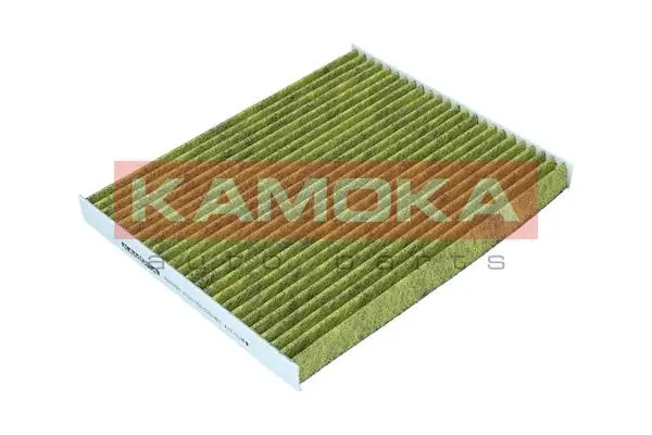 Salono filtras KAMOKA 6080099