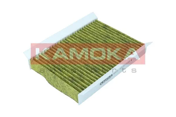 Salono filtras KAMOKA 6080100