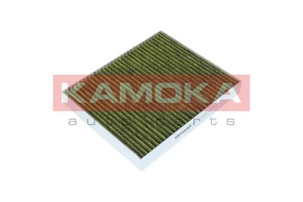 Salono filtras KAMOKA 6080102